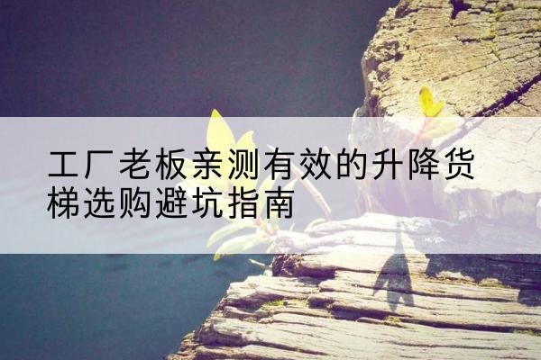 钟祥升降货梯怎么选-工厂老板亲测有效的升降货梯选购避坑指南