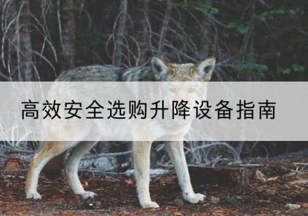 钟祥升降货梯厂家推荐-*安全选购升降设备指南