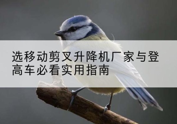 钟祥电动升降机厂家-选移动剪叉升降机厂家与登高车必看实用指南