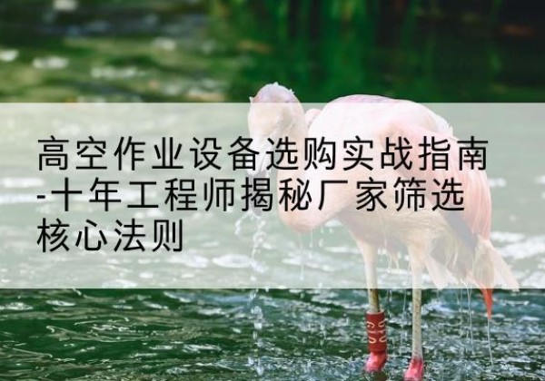 钟祥剪叉式升降机厂家-高空作业设备选购实战指南-十年工程师揭秘厂家筛选核心法则